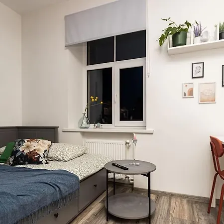 Apartment Cute With A View Over The Rooftops And Free Parking In The Area Riga