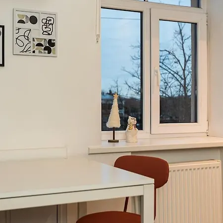 Apartment Cute With A View Over The Rooftops And Free Parking In The Area Riga